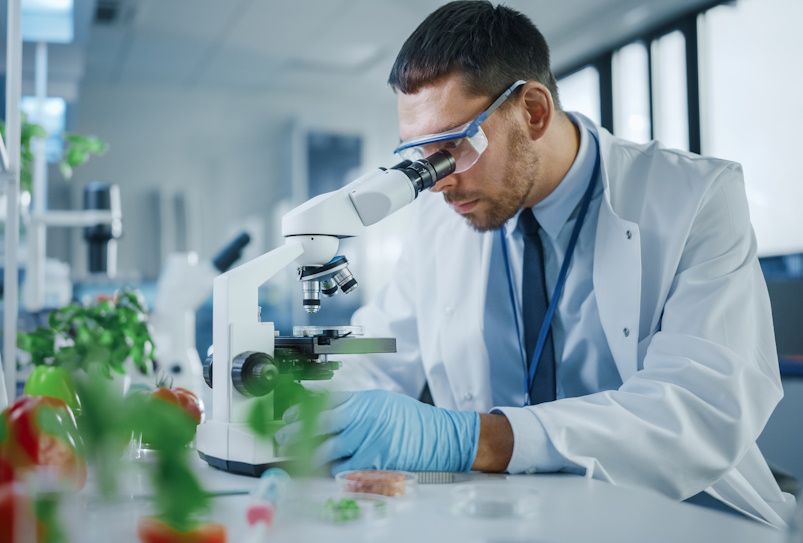 Male,Microbiologist,Looking,At,A,Lab-grown,Cultured,Vegan,Meat,Sample